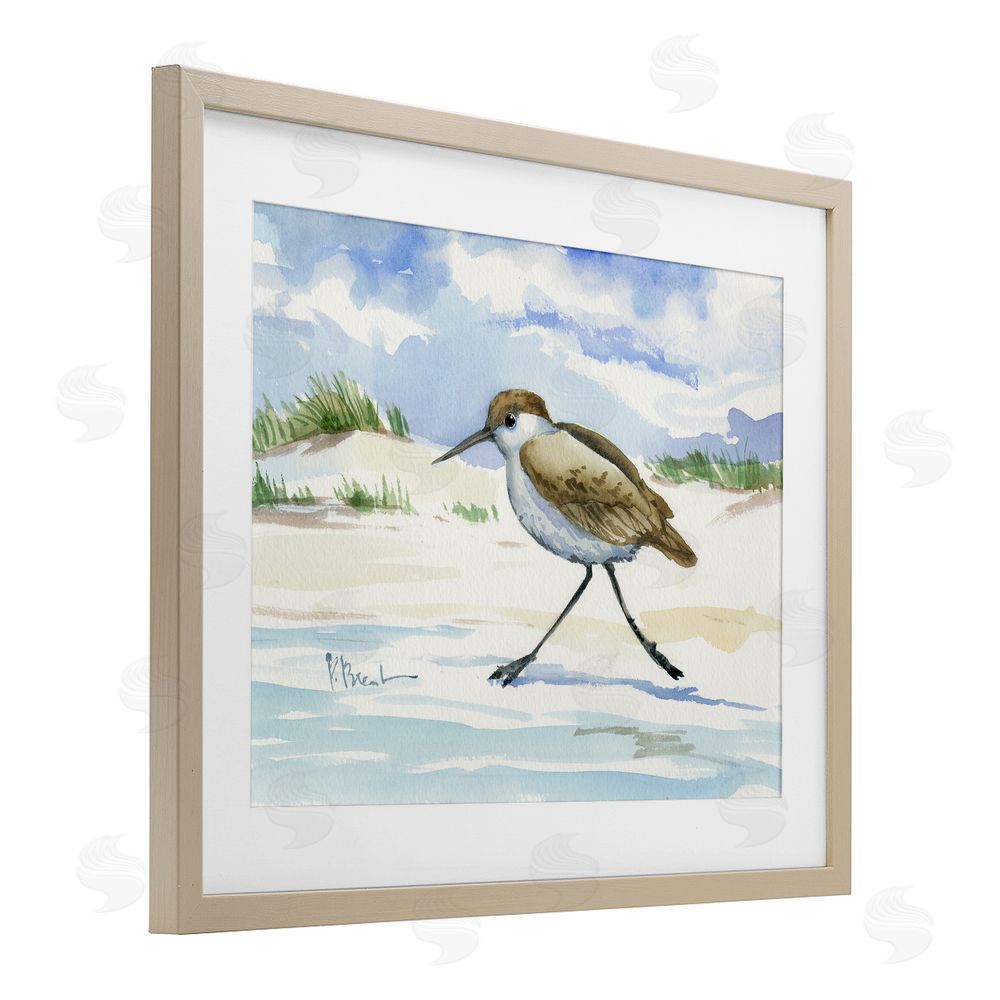 Paul Brent Inlet Beach Sandpiper Running Brown Framed Print Under Glass Wall Art