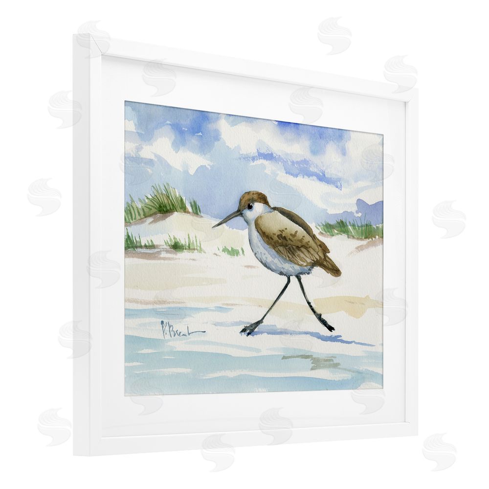 Paul Brent Inlet Beach Sandpiper Running White Framed Print Under Glass Wall Art