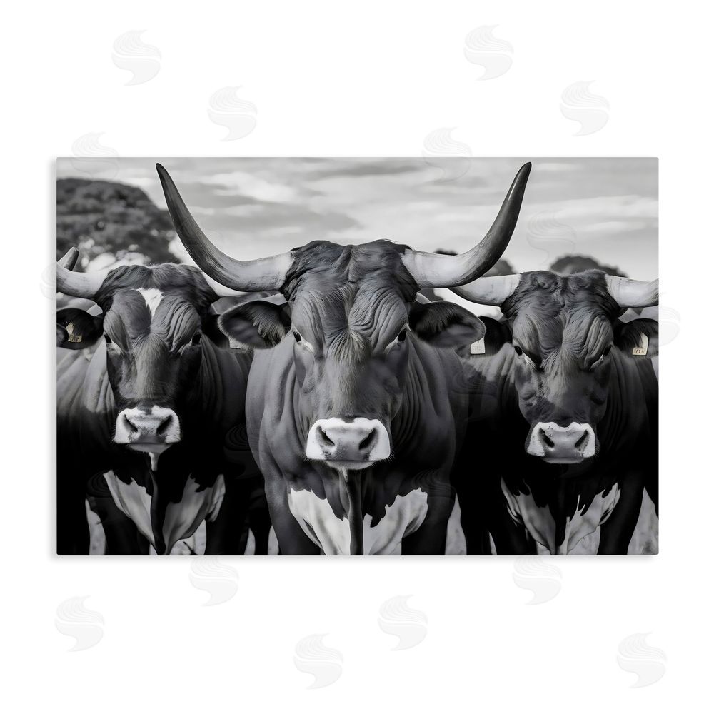 Creative Studio Three Longhorns in a Row Stretched Canvas Wall Art Print