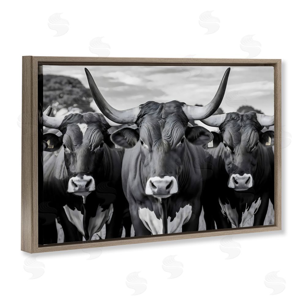 Creative Studio Three Longhorns in a Row Brown Floating Framed Canvas Wall Art Print