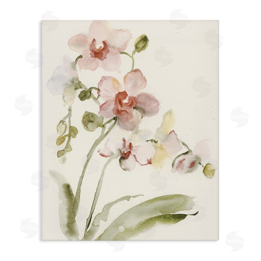 Victoria Barnes Gentle Pink Orchid in Bloom Stretched Canvas Wall Art