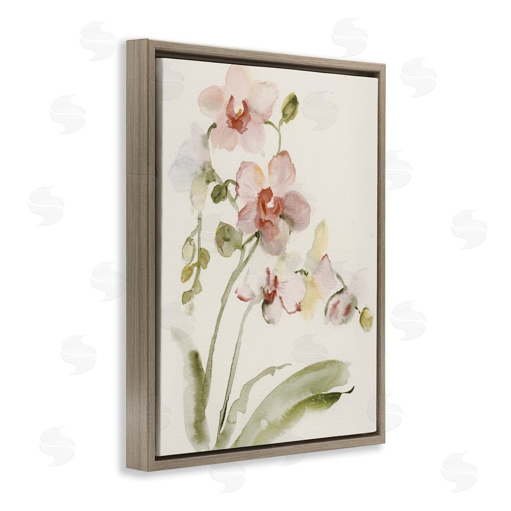 Victoria Barnes Gentle Pink Orchid in Bloom Brown Floating Framed Canvas Wall Art