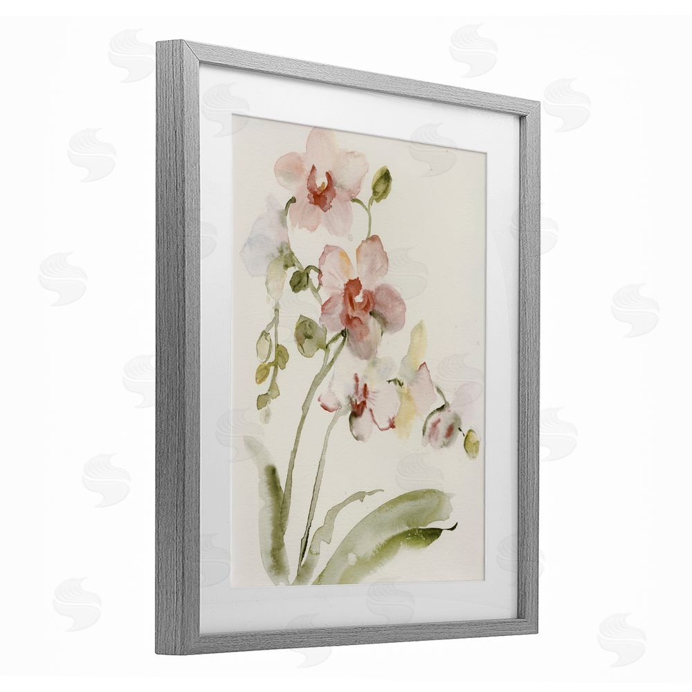 Victoria Barnes Gentle Pink Orchid in Bloom Gray Framed Print Under Glass Wall Art