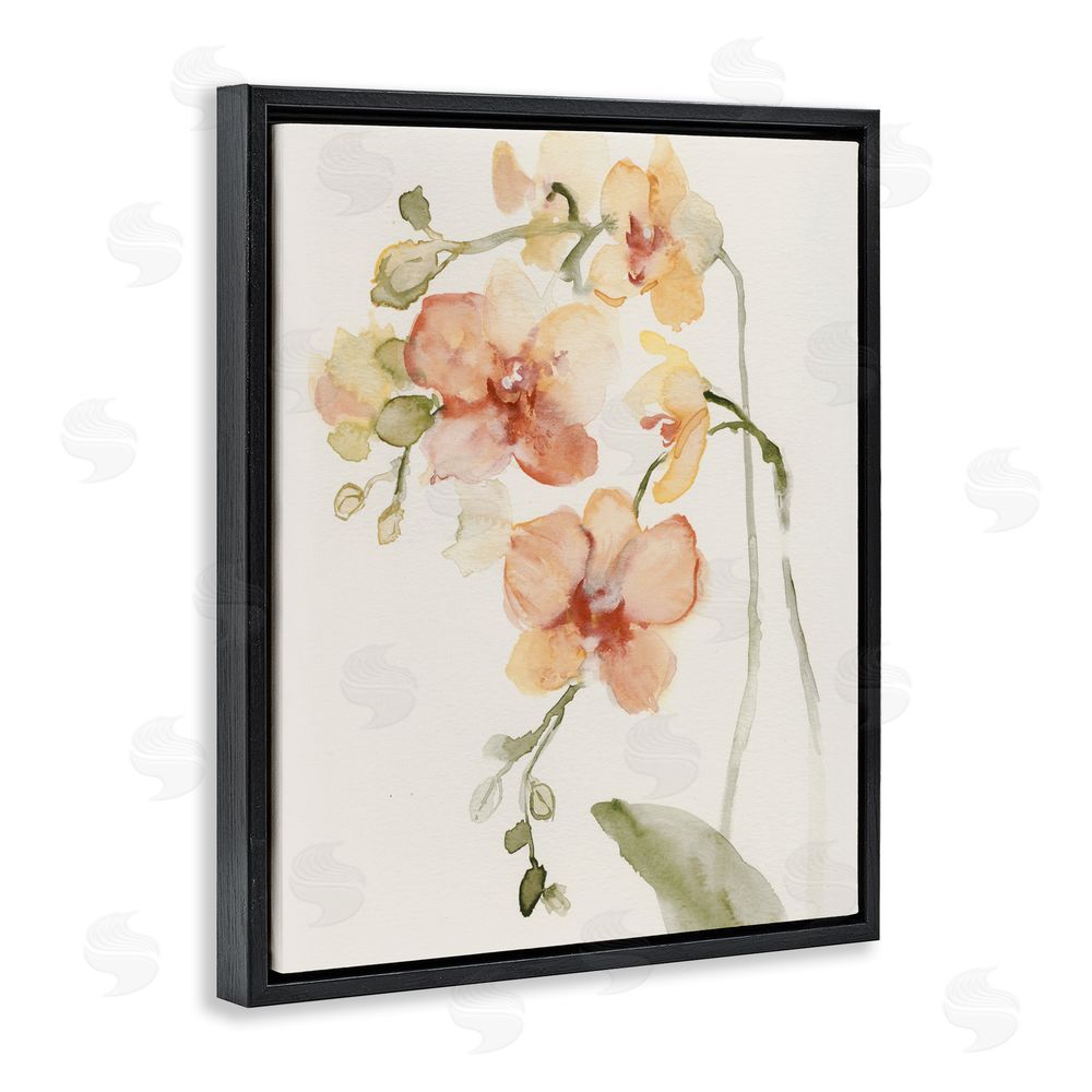 Victoria Barnes Peach Orchid in Bloom Black Floating Framed Canvas Wall Art