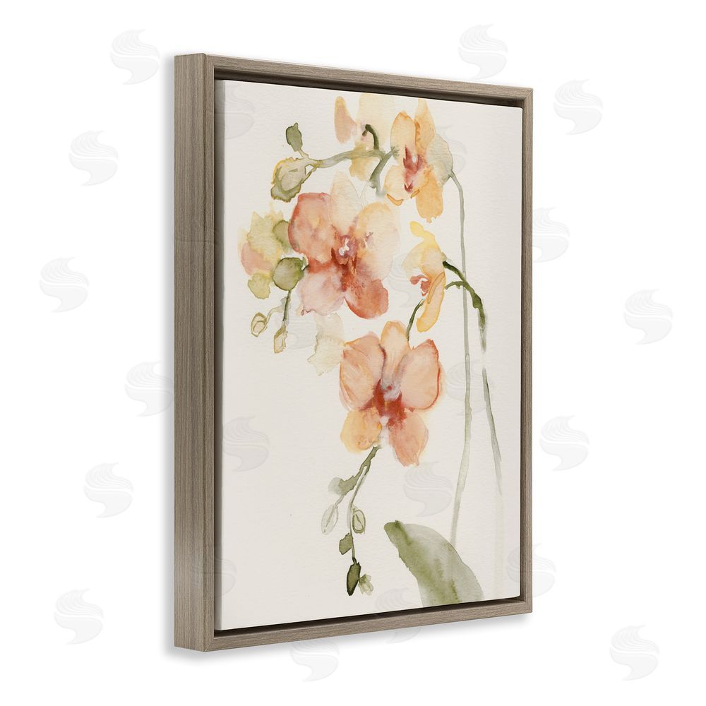 Victoria Barnes Peach Orchid in Bloom Brown Floating Framed Canvas Wall Art