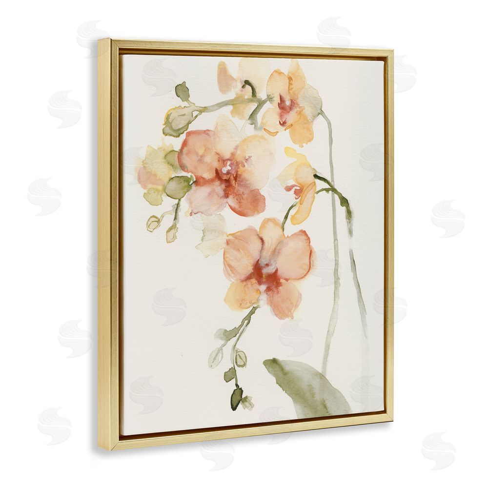 Victoria Barnes Peach Orchid in Bloom Gold Floating Framed Canvas Wall Art