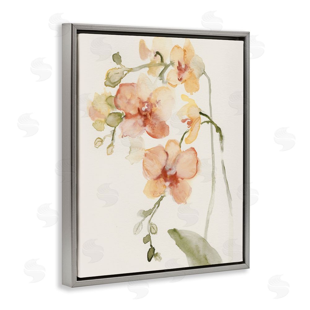 Victoria Barnes Peach Orchid in Bloom Gray Floating Framed Canvas Wall Art