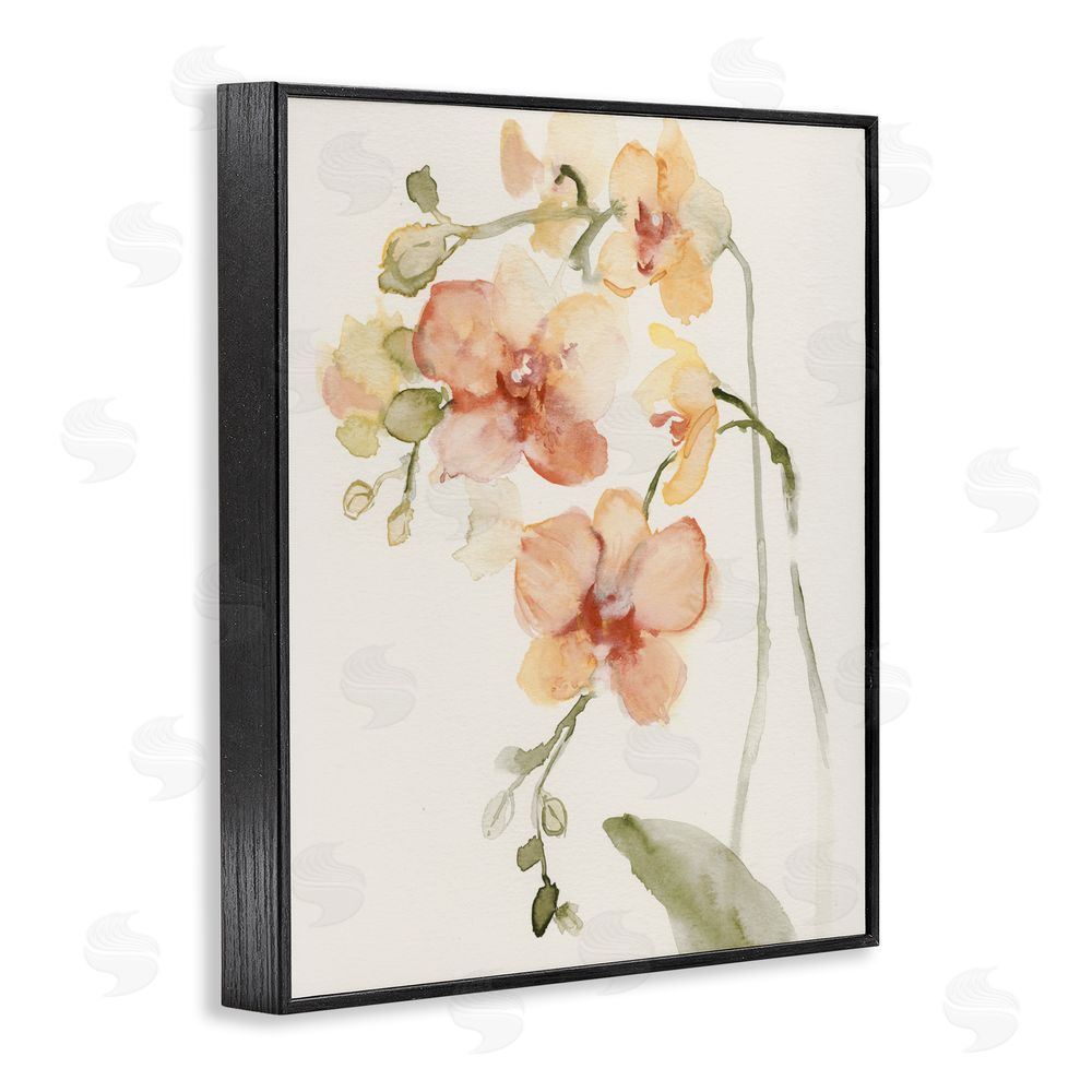 Victoria Barnes Peach Orchid in Bloom Black Framed Giclee Wall Art
