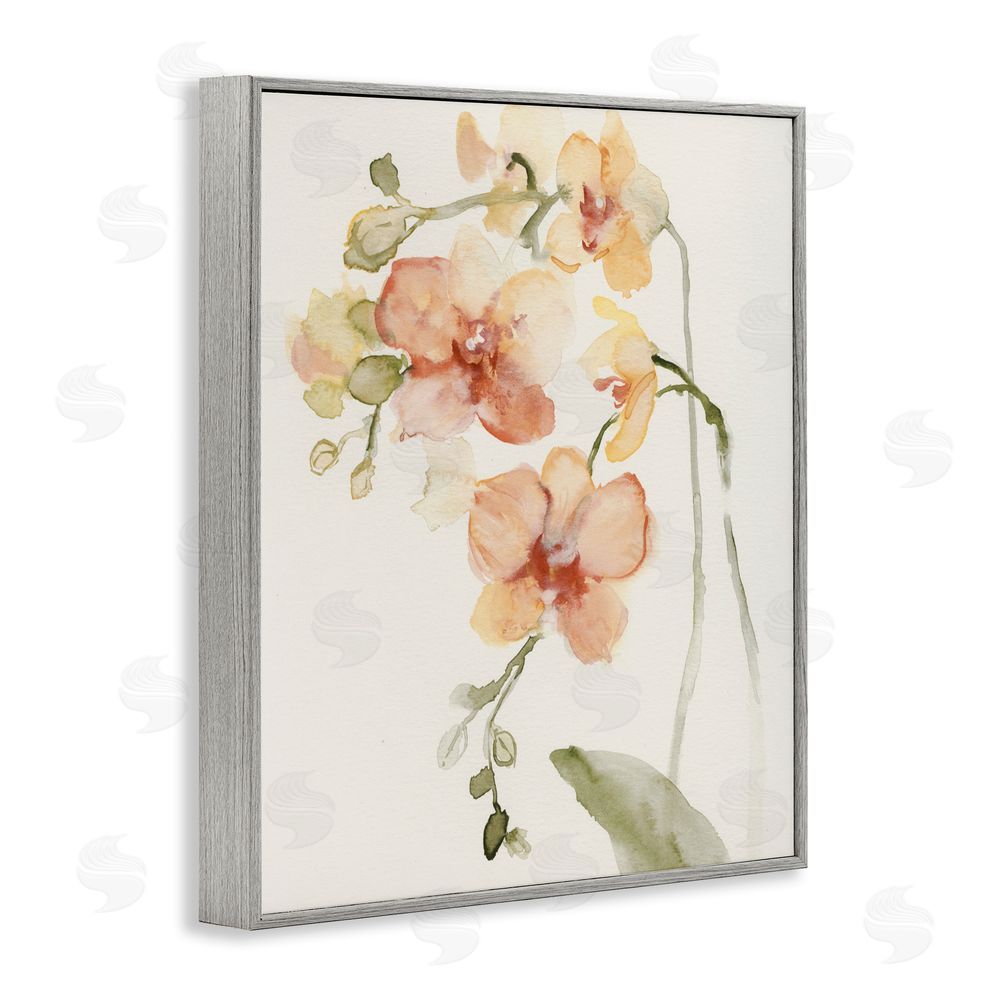 Victoria Barnes Peach Orchid in Bloom Gray Framed Giclee Wall Art