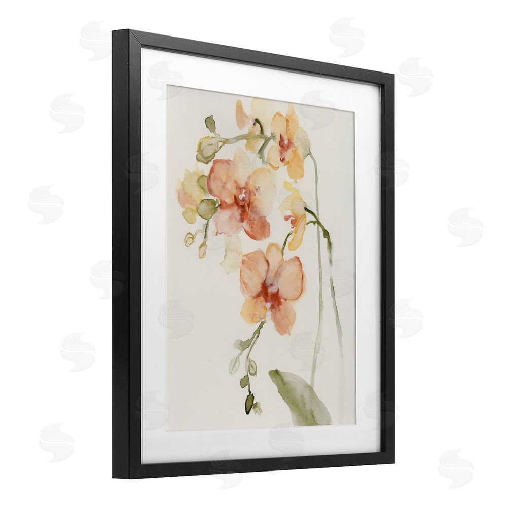 Victoria Barnes Peach Orchid in Bloom Black Framed Print Under Glass Wall Art