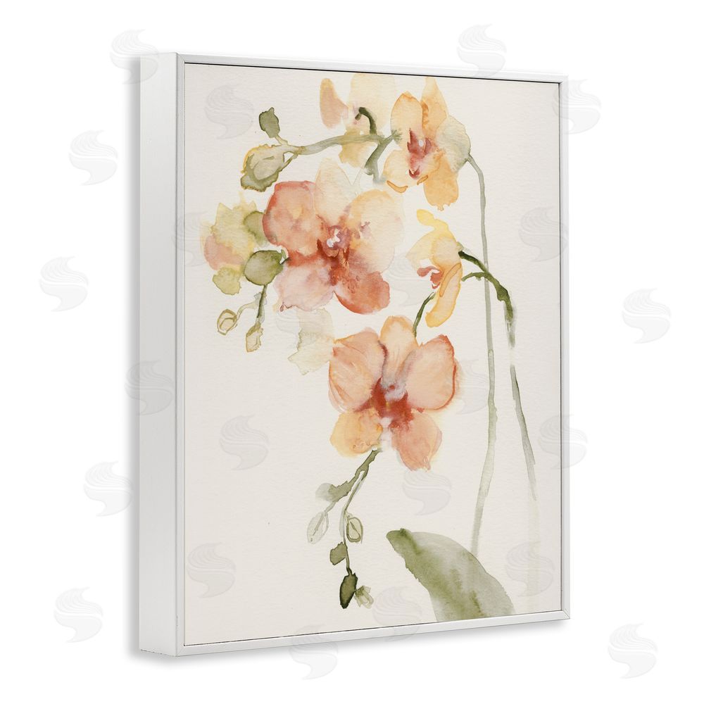 Victoria Barnes Peach Orchid in Bloom White Framed Giclee Wall Art