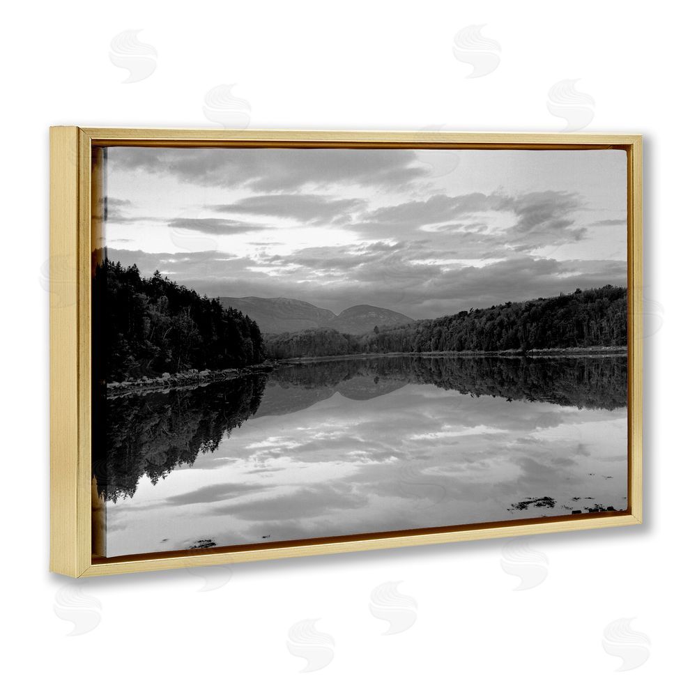 MJ Photography Acadia Reflection in Monochrome Gold Floating Frame Stretched Canvas Wall Art Print