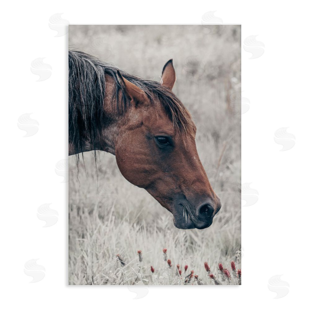 Nathan Larson Mother Horse Grazing in Meadow Stretched Canvas Wall Art