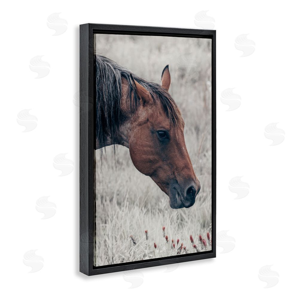 Nathan Larson Mother Horse Grazing in Meadow Black Floating Framed Canvas Wall Art