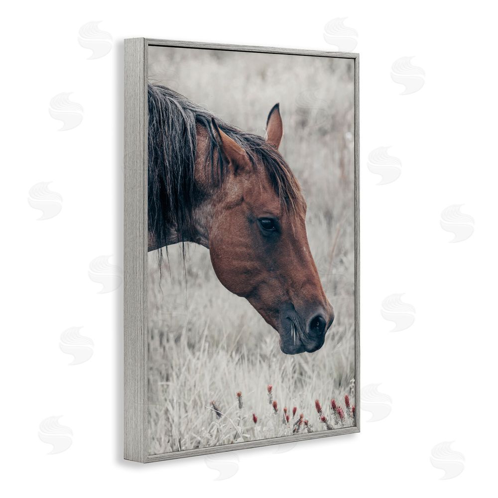Nathan Larson Mother Horse Grazing in Meadow Gray Framed Giclee Wall Art