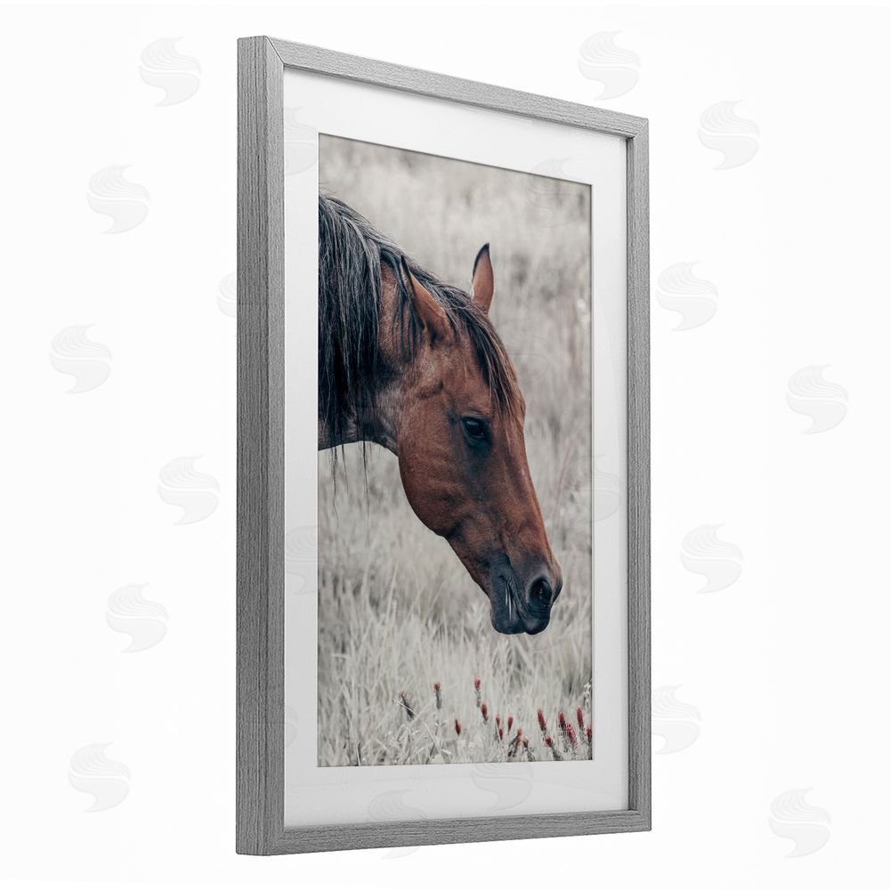 Nathan Larson Mother Horse Grazing in Meadow Gray Framed Print Under Glass Wall Art
