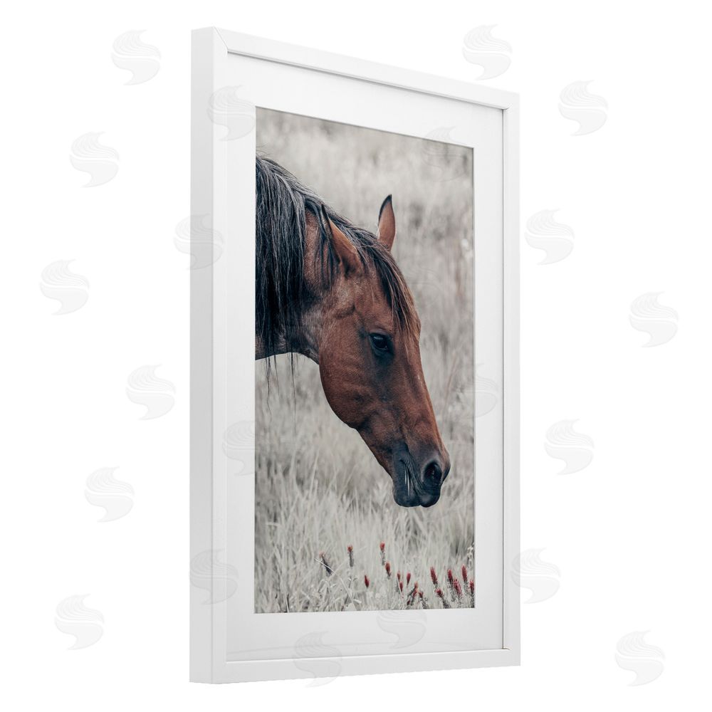 Nathan Larson Mother Horse Grazing in Meadow White Framed Print Under Glass Wall Art
