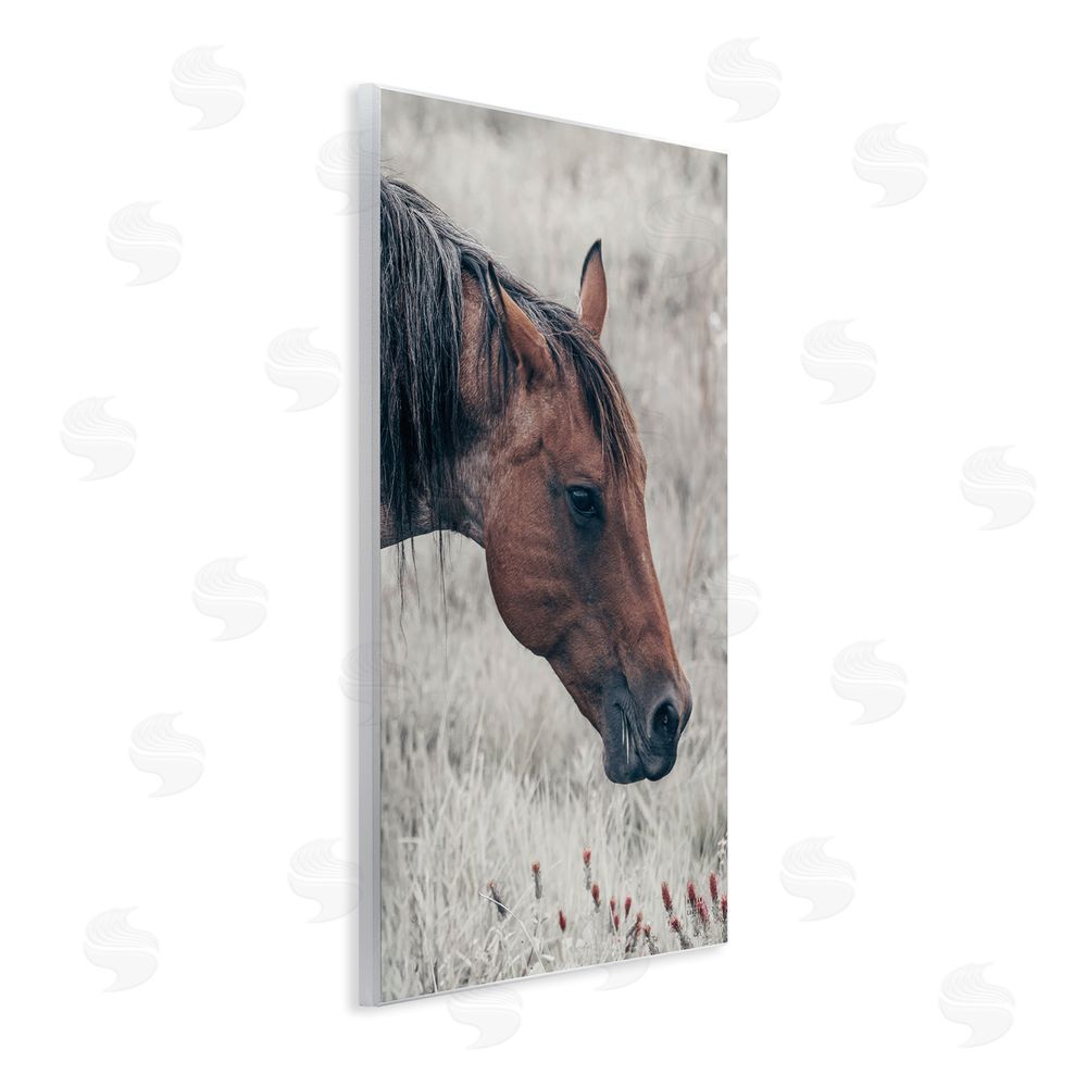 Nathan Larson Mother Horse Grazing in Meadow Wall Plaque Home Decor Art Print