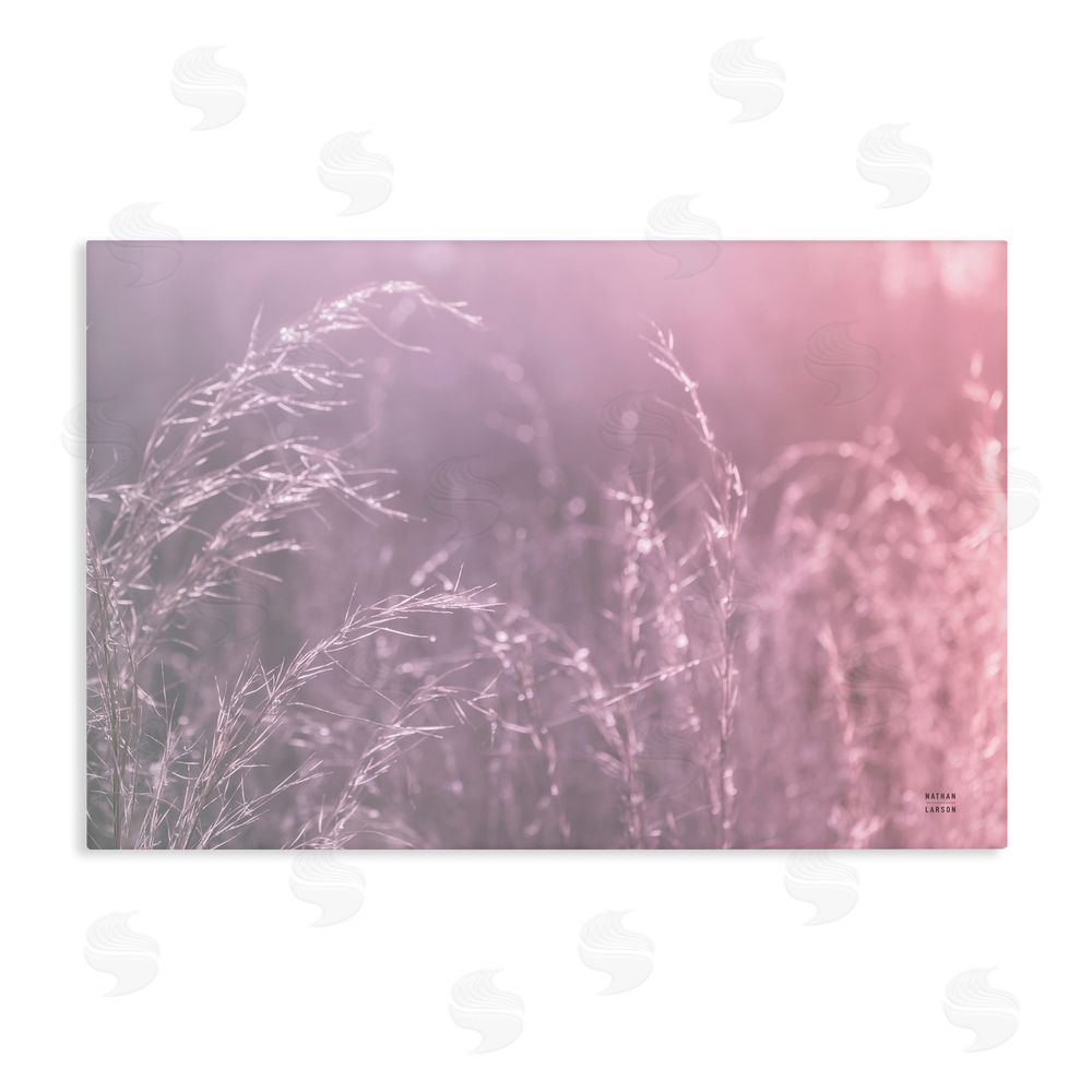 Nathan Larson Pink Meadow at Dawn Stretched Canvas Wall Art