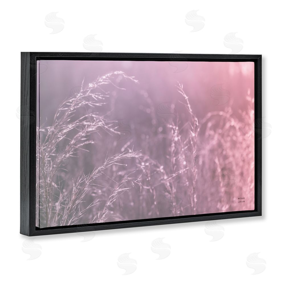 Nathan Larson Pink Meadow at Dawn Black Floating Framed Canvas Wall Art