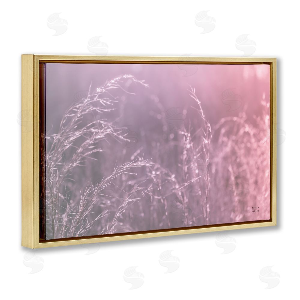 Nathan Larson Pink Meadow at Dawn Gold Floating Framed Canvas Wall Art