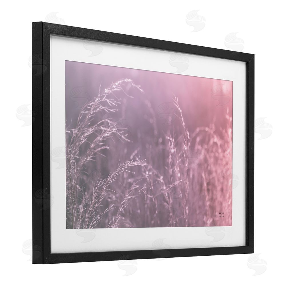Nathan Larson Pink Meadow at Dawn Black Framed Print Under Glass Wall Art