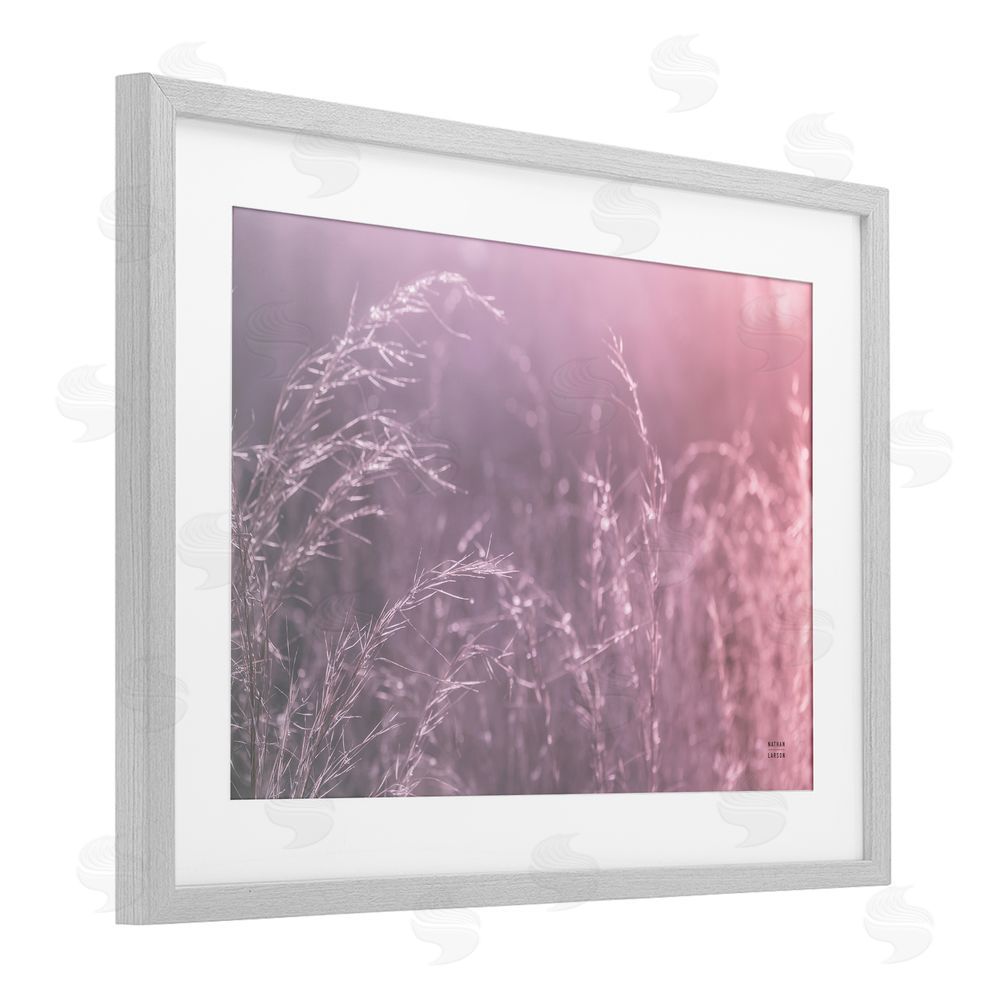Nathan Larson Pink Meadow at Dawn Gray Framed Print Under Glass Wall Art