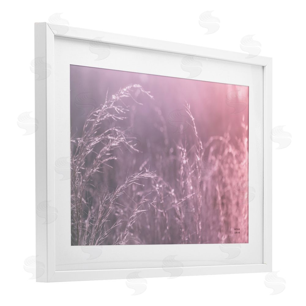 Nathan Larson Pink Meadow at Dawn White Framed Print Under Glass Wall Art