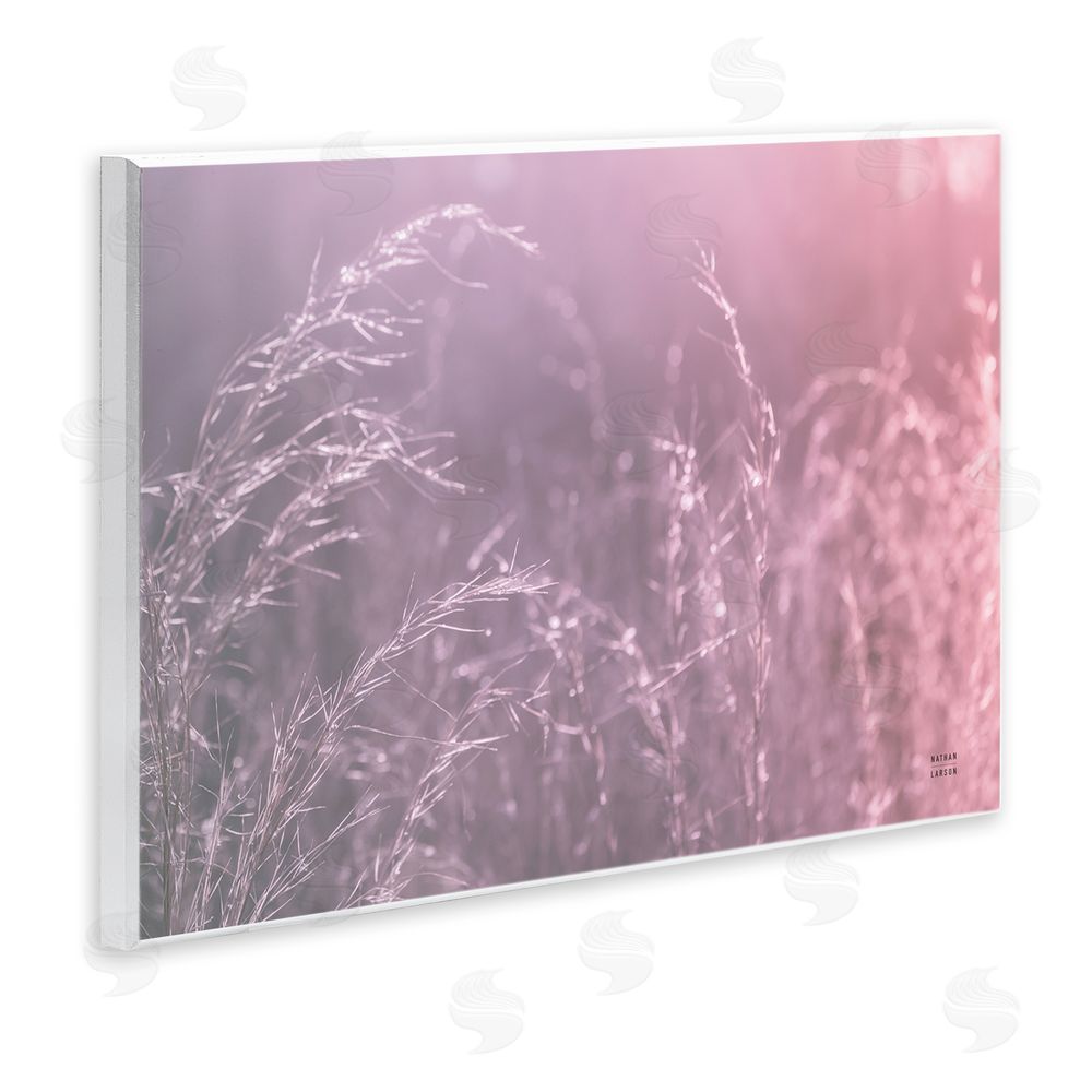 Nathan Larson Pink Meadow at Dawn Wall Plaque Home Decor Art Print