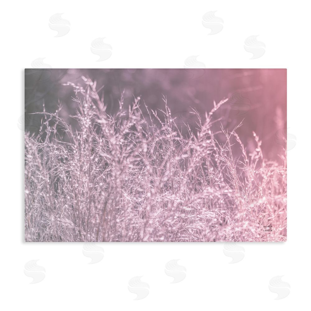 Nathan Larson Pink Morning Gentle Meadow Stretched Canvas Wall Art
