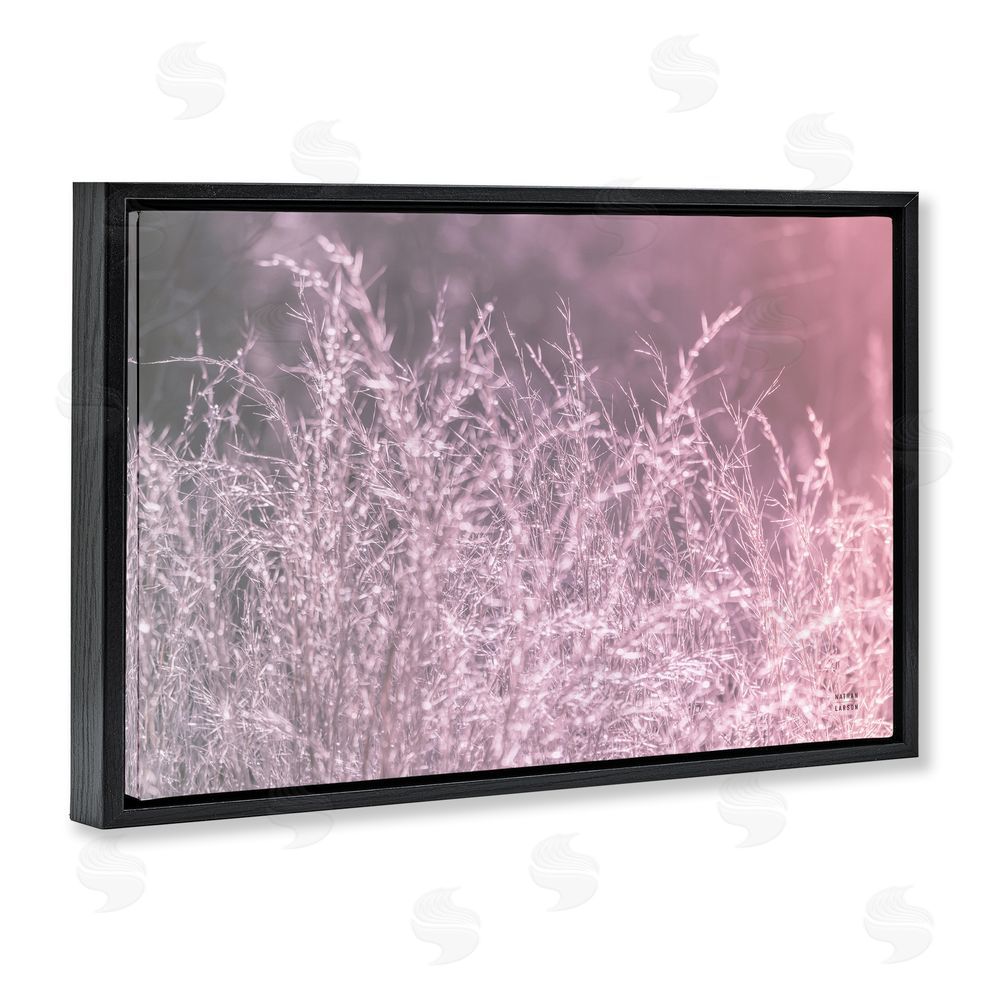 Nathan Larson Pink Morning Gentle Meadow Black Floating Framed Canvas Wall Art