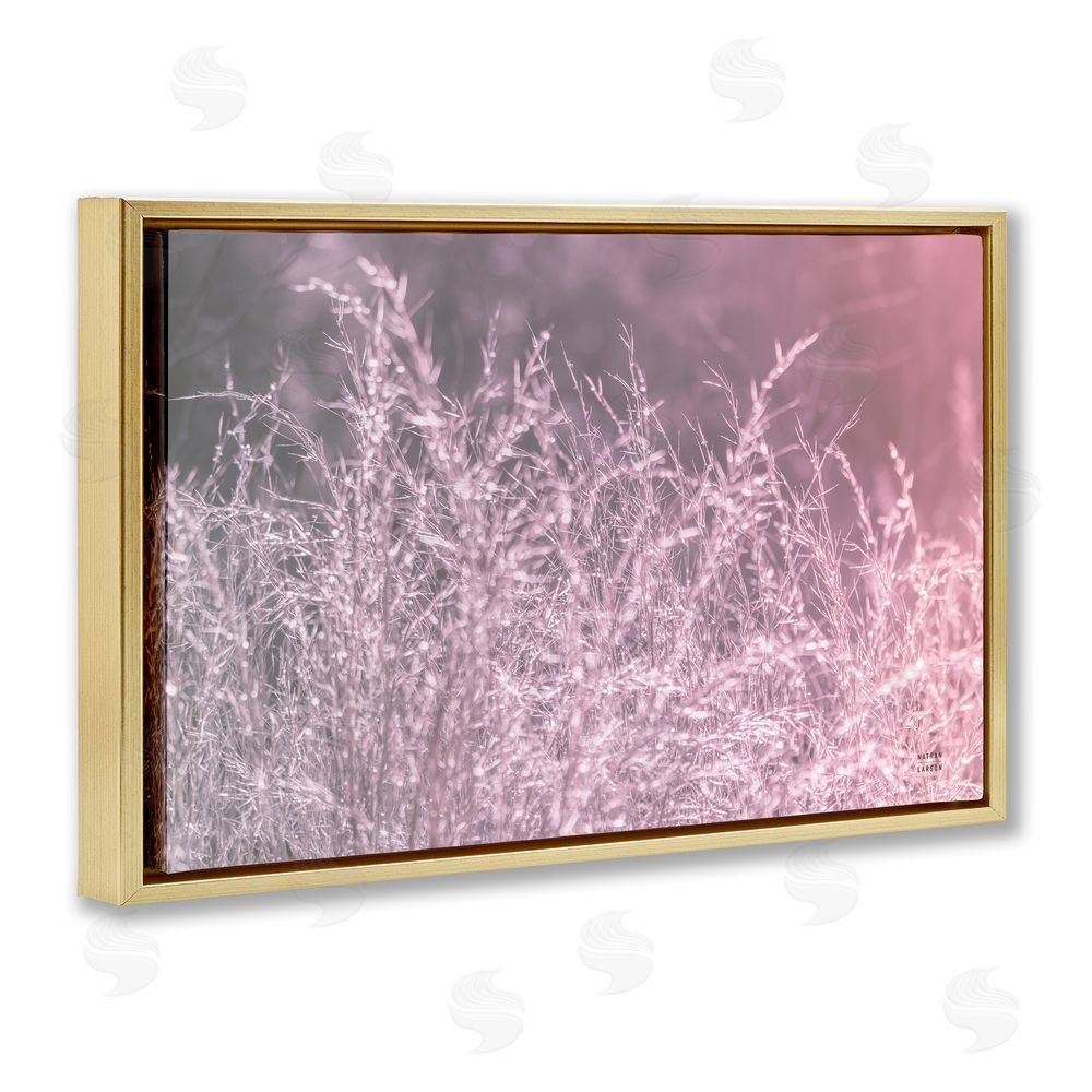 Nathan Larson Pink Morning Gentle Meadow Gold Floating Framed Canvas Wall Art
