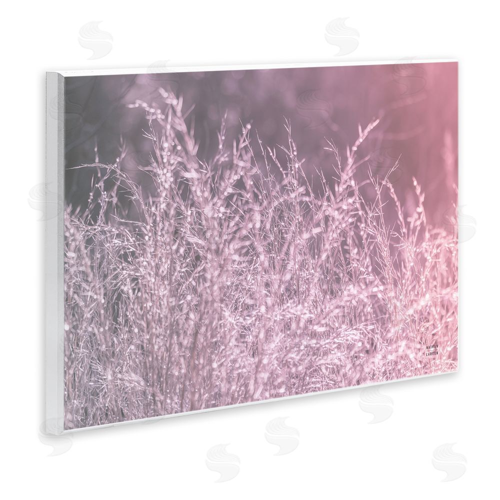 Nathan Larson Pink Morning Gentle Meadow Wall Plaque Home Decor Art Print