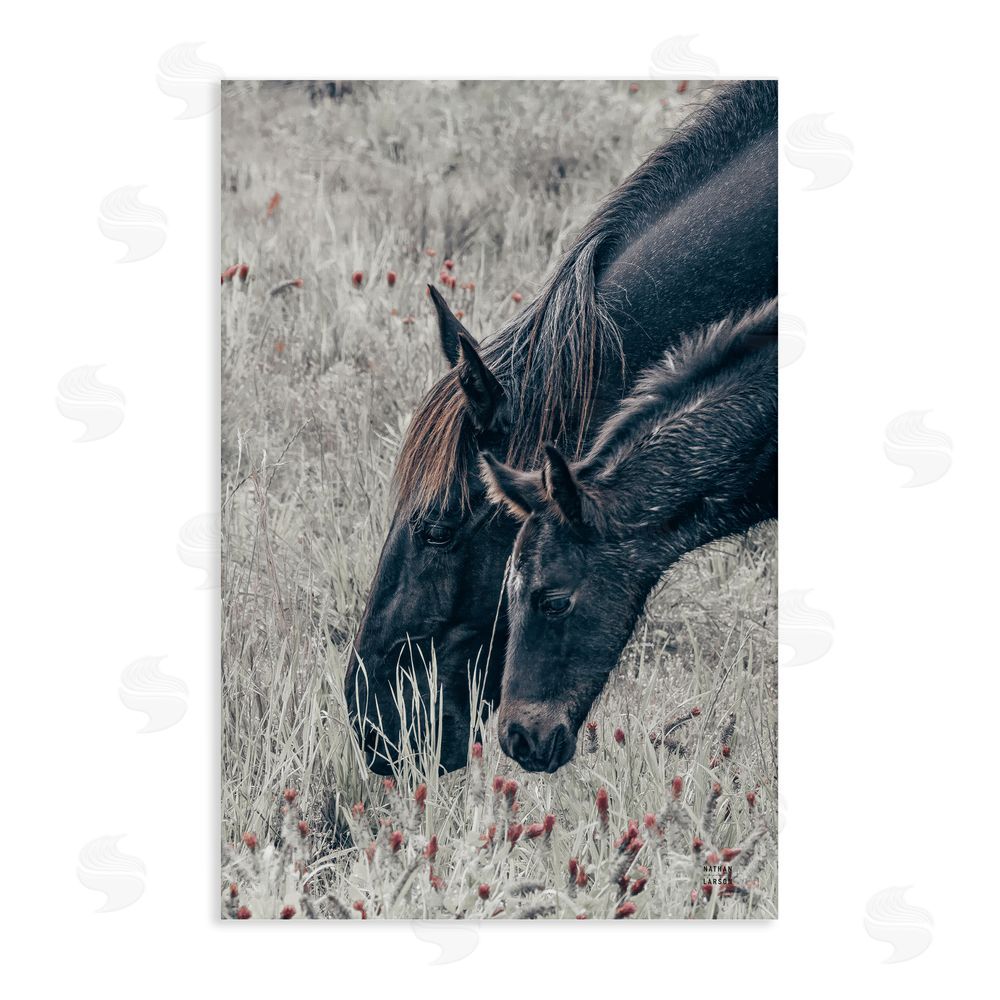 Nathan Larson New Graze Horses in Meadow Stretched Canvas Wall Art