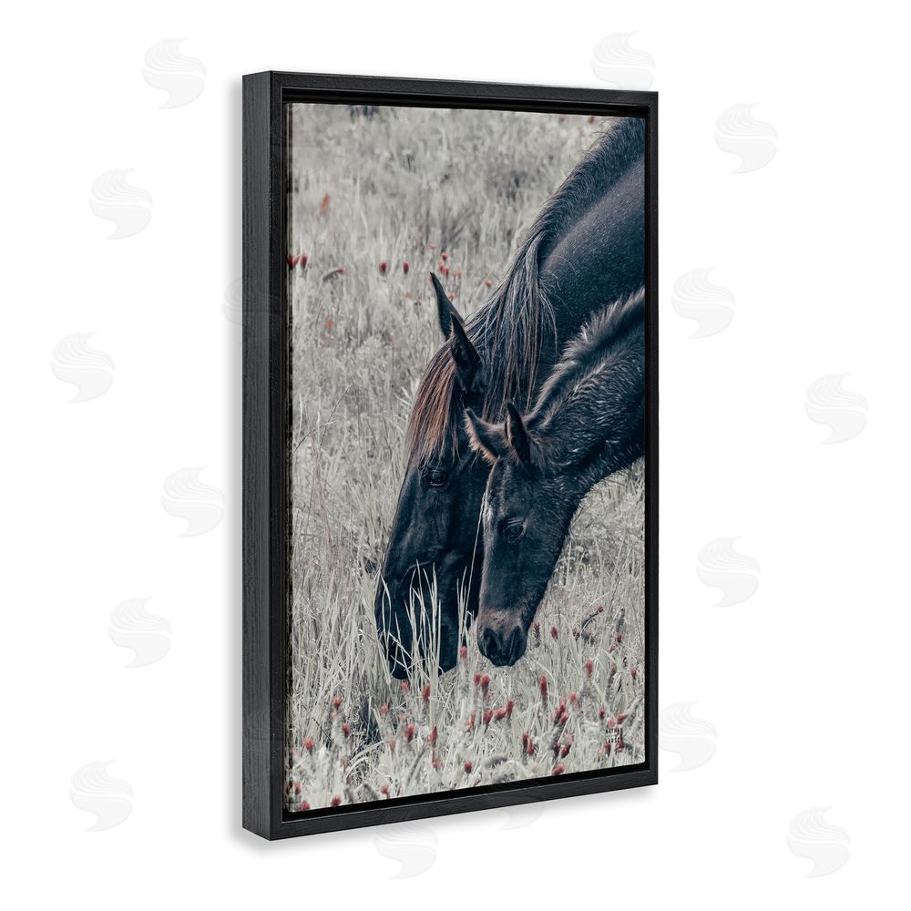 Nathan Larson New Graze Horses in Meadow Black Floating Framed Canvas Wall Art