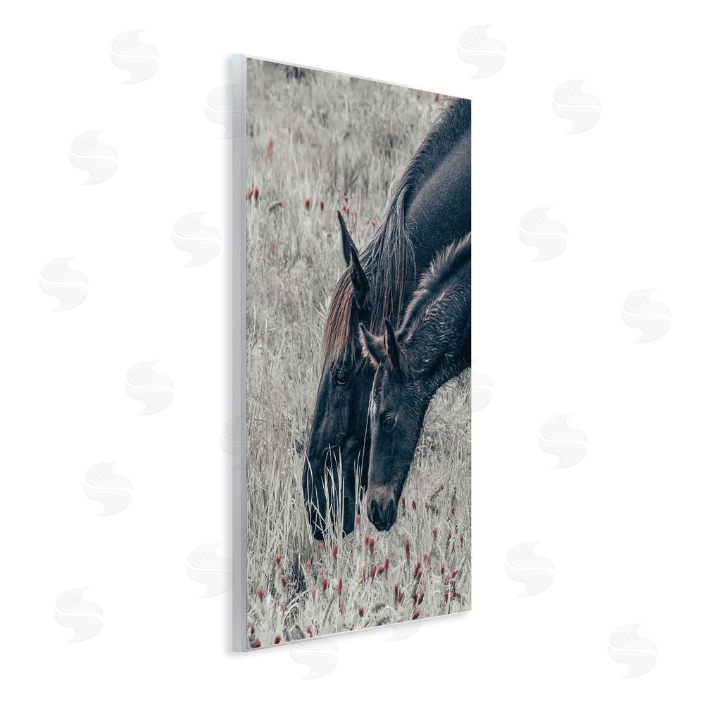 Nathan Larson New Graze Horses in Meadow Wall Plaque Home Decor Art Print