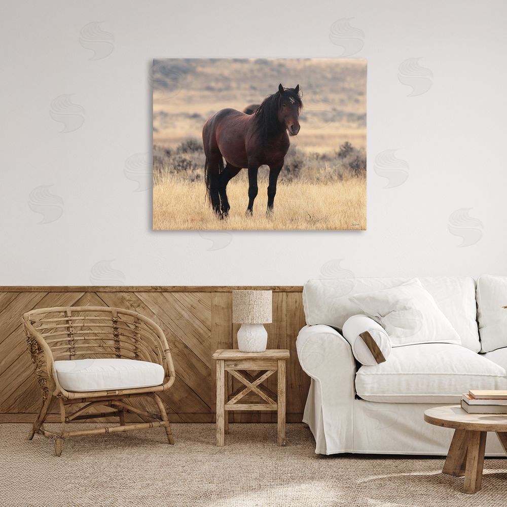 Lori Deiter Brown Beauty Wild Horse Stretched Canvas Wall Art in Room