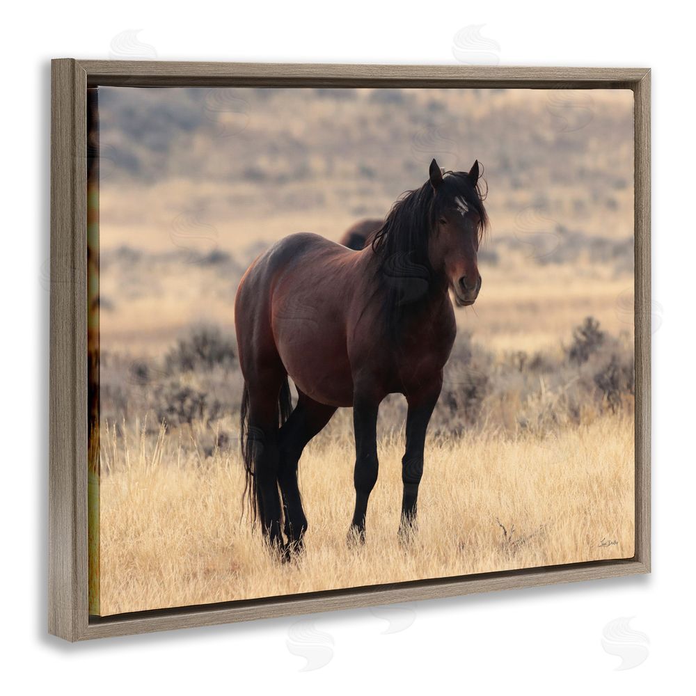 Lori Deiter Brown Beauty Wild Horse Brown Floating Frame Canvas Wall Art Print