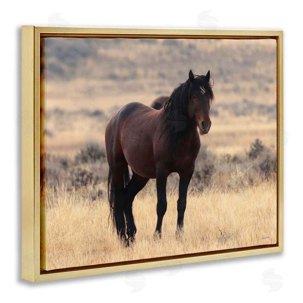 Lori Deiter Brown Beauty Wild Horse Gold Floating Frame Canvas Wall Art Print