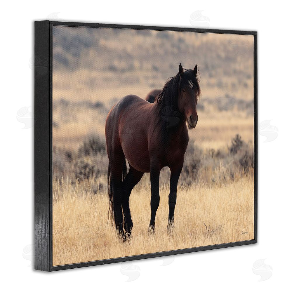 Lori Deiter Brown Beauty Wild Horse Black Framed Giclee Wall Art Print