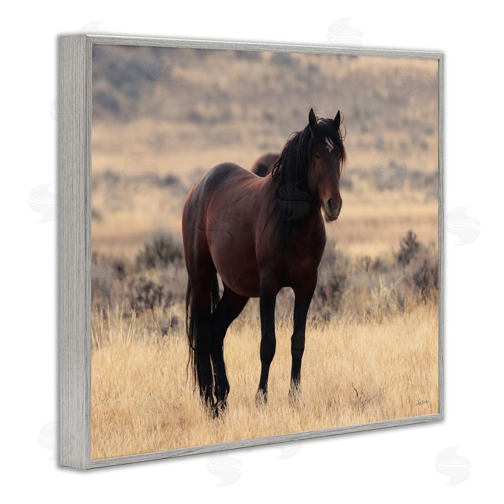 Lori Deiter Brown Beauty Wild Horse Gray Framed Giclee Wall Art Print
