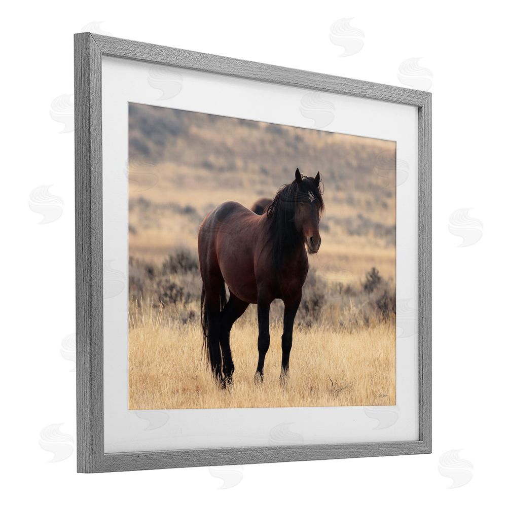 Lori Deiter Brown Beauty Wild Horse Gray Framed Print Under Glass Wall Art