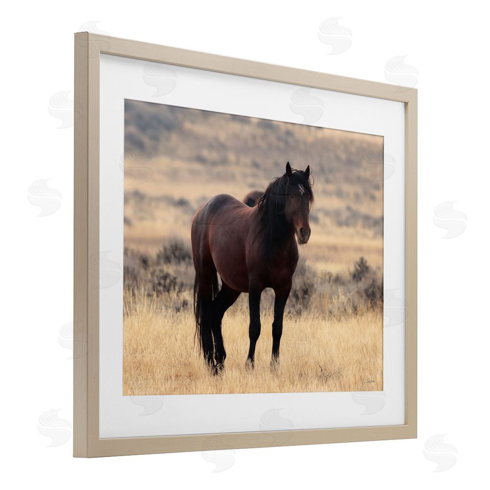 Lori Deiter Brown Beauty Wild Horse Brown Framed Print Under Glass Wall Art