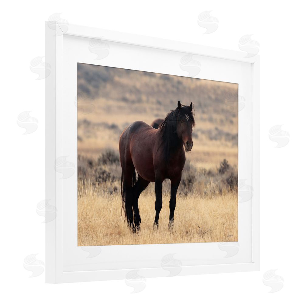 Lori Deiter Brown Beauty Wild Horse White Framed Print Under Glass Wall Art