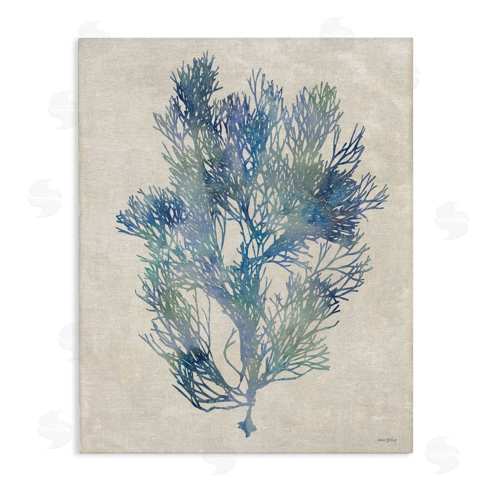 Amber Sterling Misty Blue Coral Study Stretched Canvas Wall Art