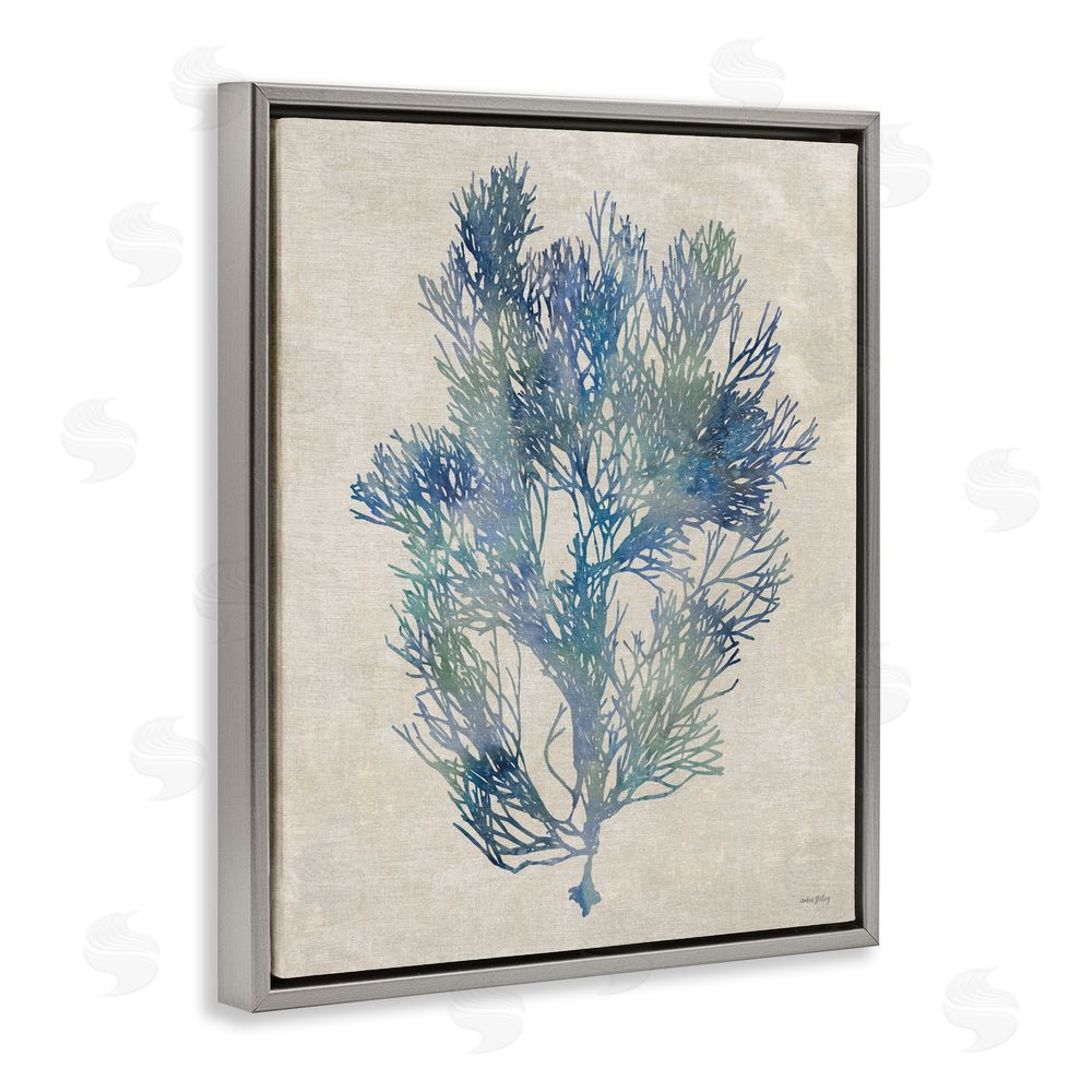 Amber Sterling Misty Blue Coral Study Gray Floating Framed Canvas Wall Art