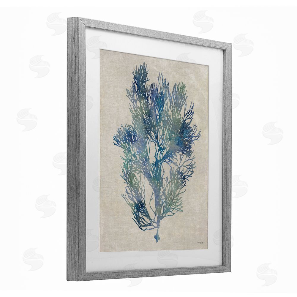Amber Sterling Misty Blue Coral Study Gray Framed Print Under Glass Wall Art