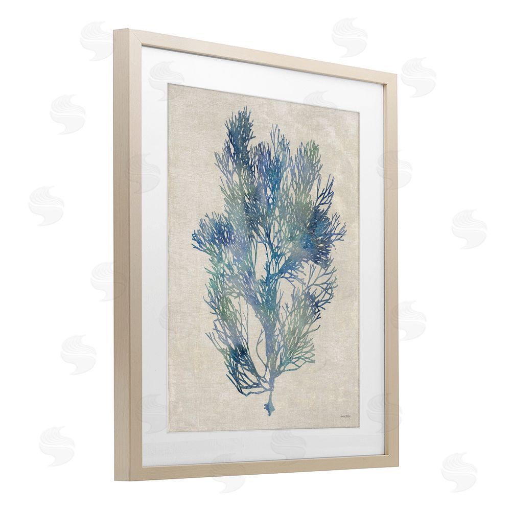 Amber Sterling Misty Blue Coral Study Brown Framed Print Under Glass Wall Art