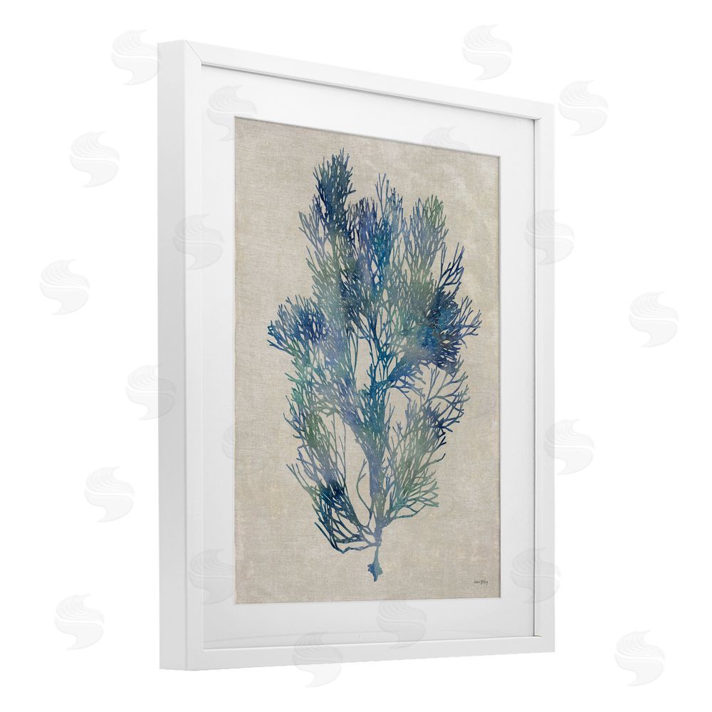 Amber Sterling Misty Blue Coral Study White Framed Print Under Glass Wall Art