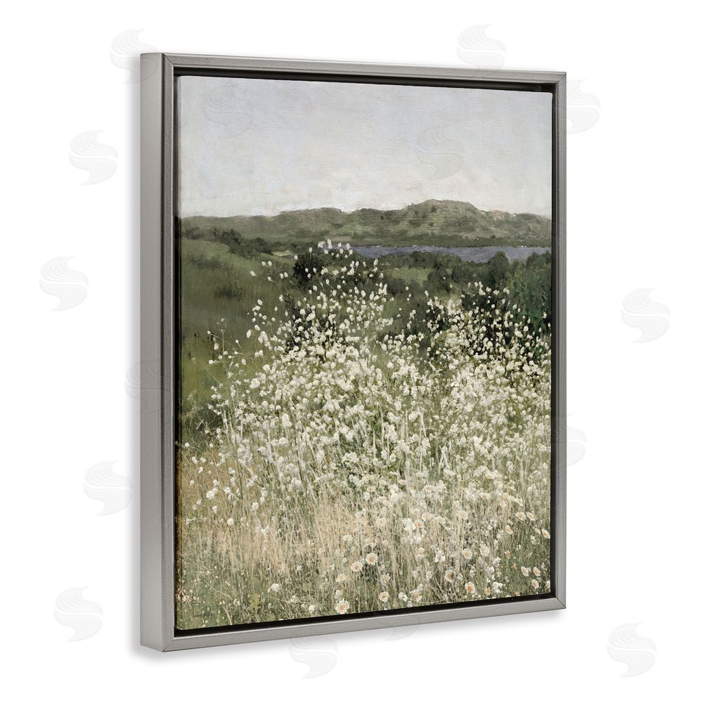 Amber Sterling Sunlit Meadow of White Daisies Gray Floating Framed Canvas Wall Art Print